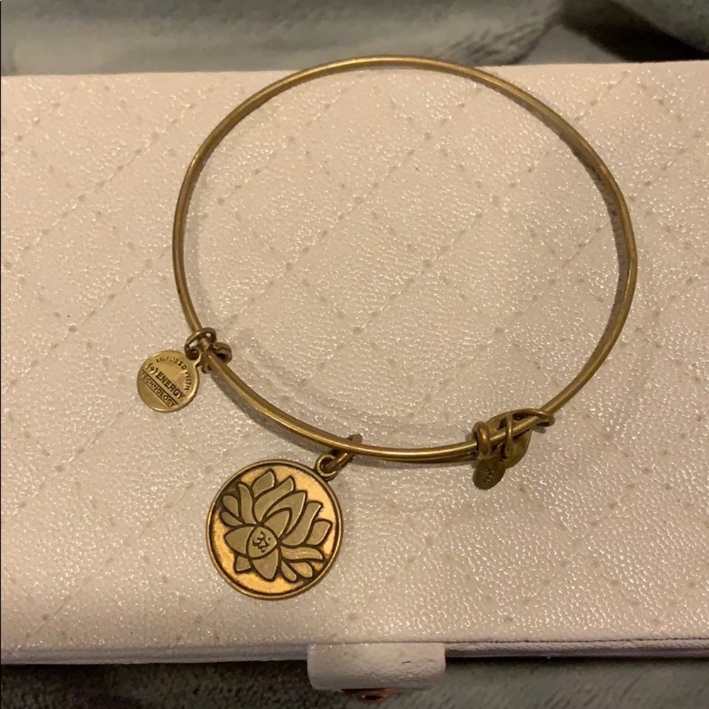 Alex and Ani Bangle